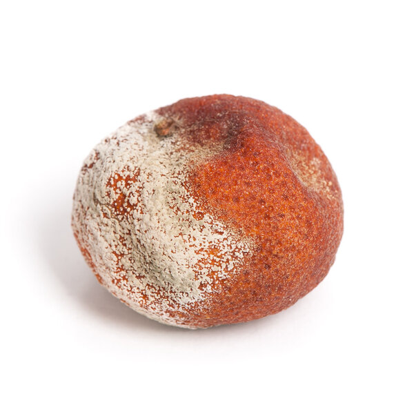 Rotten orange fruit