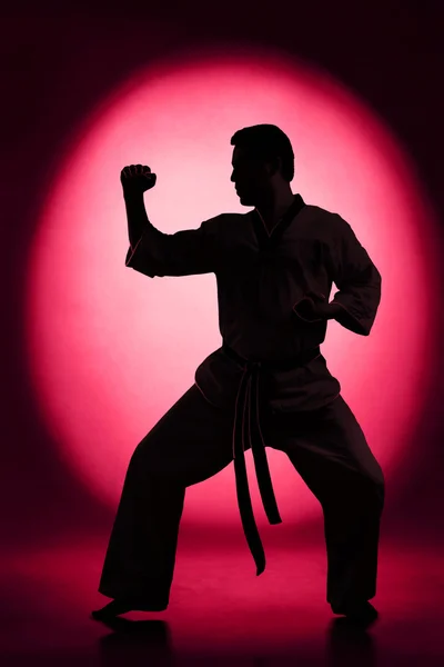 Karate Treten Silhouette — Stockfoto