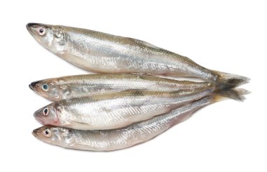 çiğ balık kokuyor