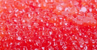 Kırmızı havyar doku