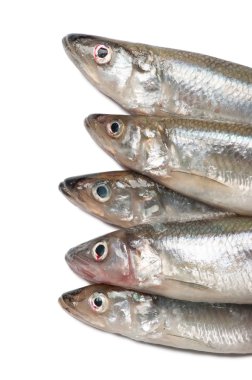 çiğ balık kokuyor