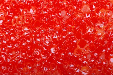 Kırmızı havyar doku