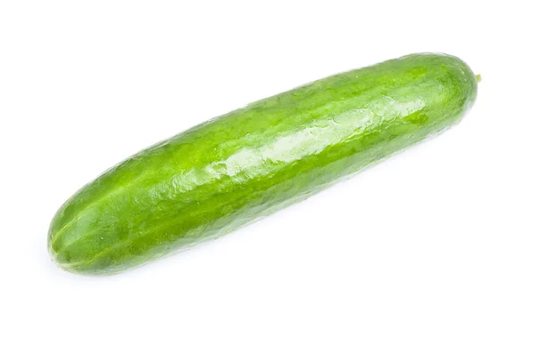 Fresh green cucumber — Stock Photo, Image