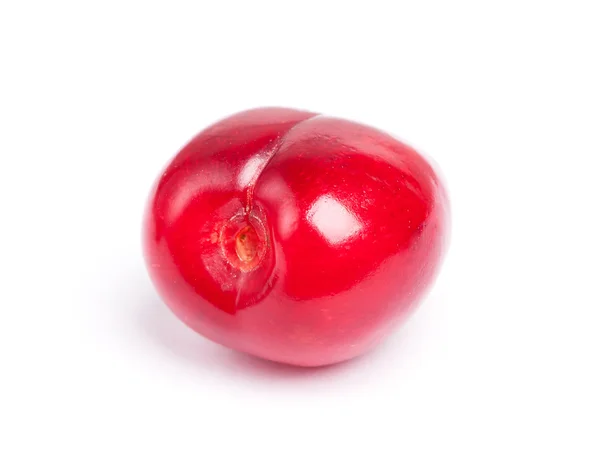 Fresh ripe cherry — Stock Photo, Image