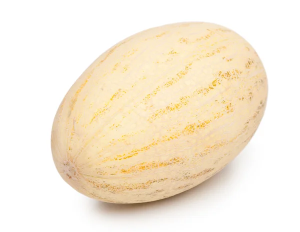 Fresh ripe melon — Stock Photo, Image