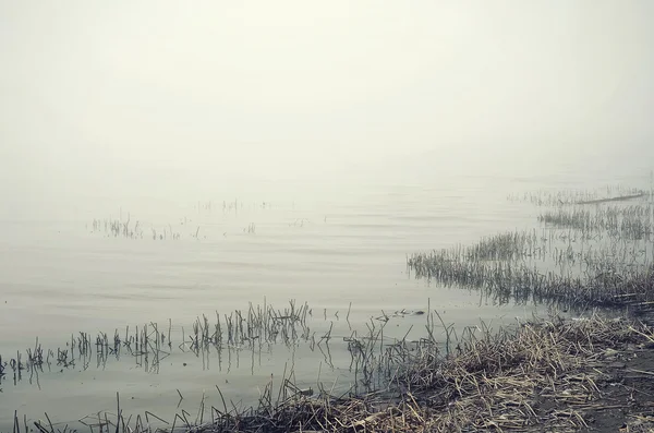 Brouillard matinal sur marais — Photo