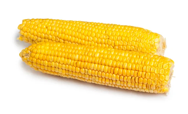 Dwie kolby kukurydzy — Zdjęcie stockowe