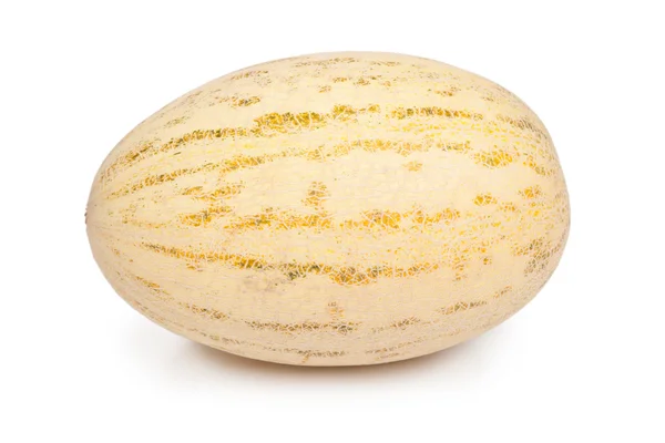 Fresh ripe melon — Stock Photo, Image