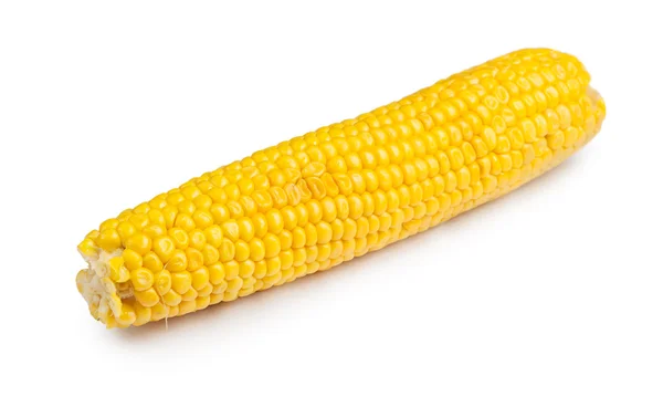 Corn cob isolated — Stock Photo, Image