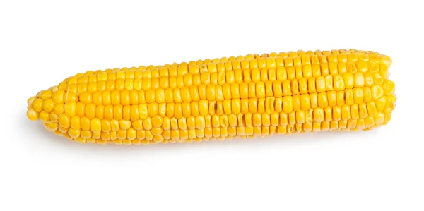 Mazorca de maíz aislada —  Fotos de Stock