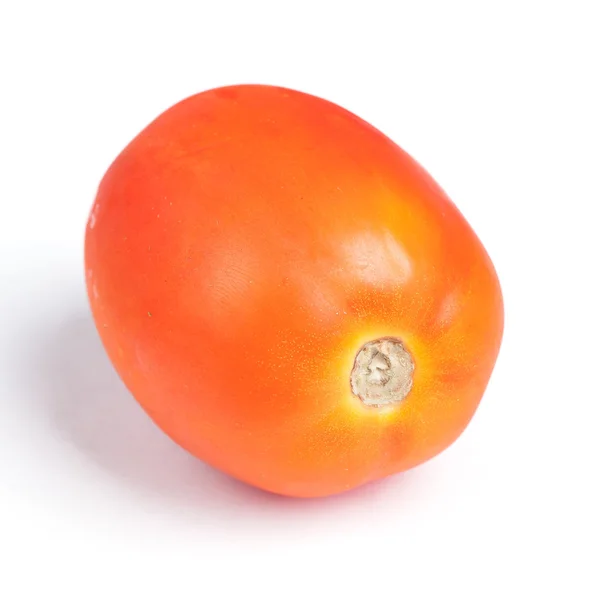 Jeden pomidor na białym tle — Zdjęcie stockowe