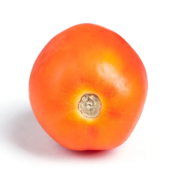 Um tomate isolado — Fotografia de Stock