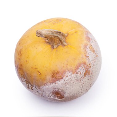 Beyaz arka planda izole edilmiş çürük balkabağı