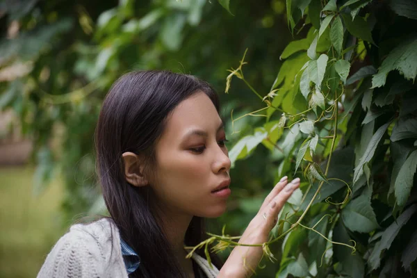 Asiatisk Kvinna Nära Gröna Blad Parken — Stockfoto