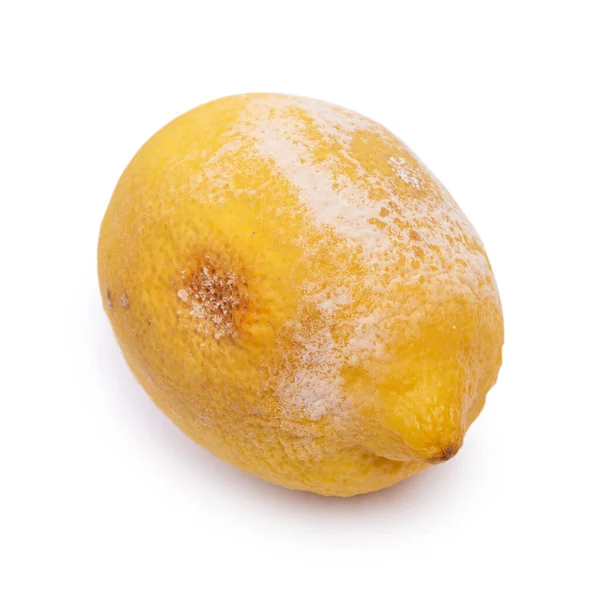 Rotten Lemon Mold Isolated White Background — Stock Photo, Image