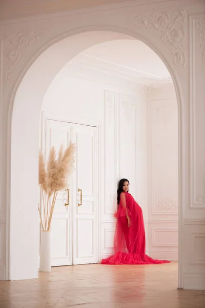 Belle Asiatique Enceinte Femme Longue Robe Rouge Intérieur — Photo