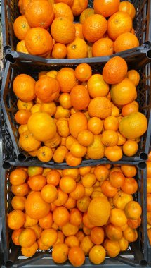 Piyasada farklı boyutlarda mandalina kutuları, üst görünüm