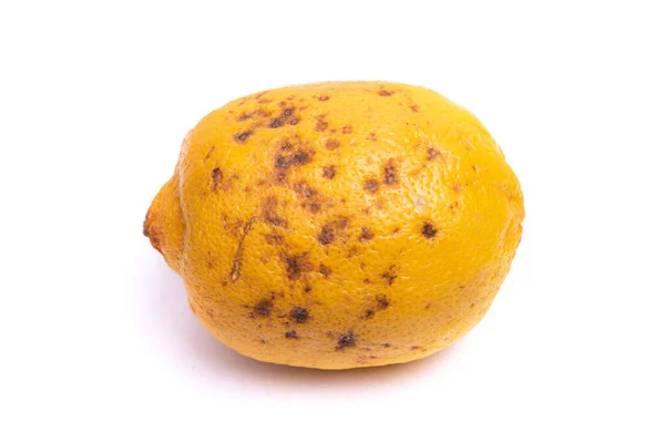 Bortskämd Overroten Citron Med Mögel Prickar Isolerade Över Vit Bakgrund — Stockfoto