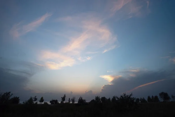 Mooie Lucht Silhouet Bomen Aan Horizon — Stockfoto