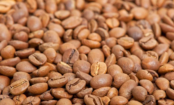 Many coffee beans — Stock Photo, Image