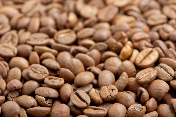 Many coffee beans — Stock Photo, Image