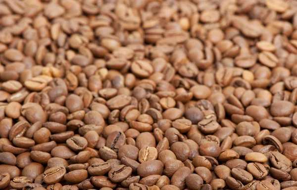 Muchos granos de café — Foto de Stock