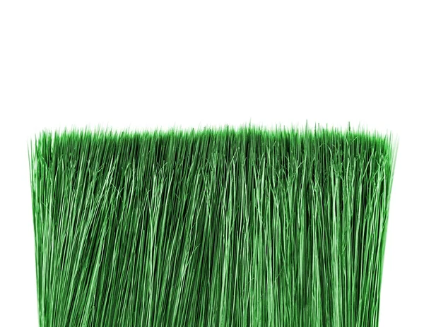 Vers groen gras — Stockfoto