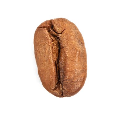 Tek kahve çekirdeği