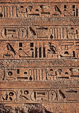 Mısır hiyeroglifleri duvar