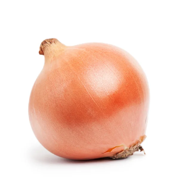 Jedną cebulę ze skórką — Zdjęcie stockowe