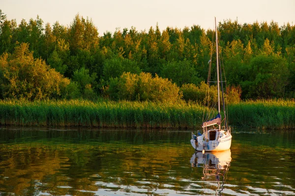 Båt på floden sommaren — Stockfoto
