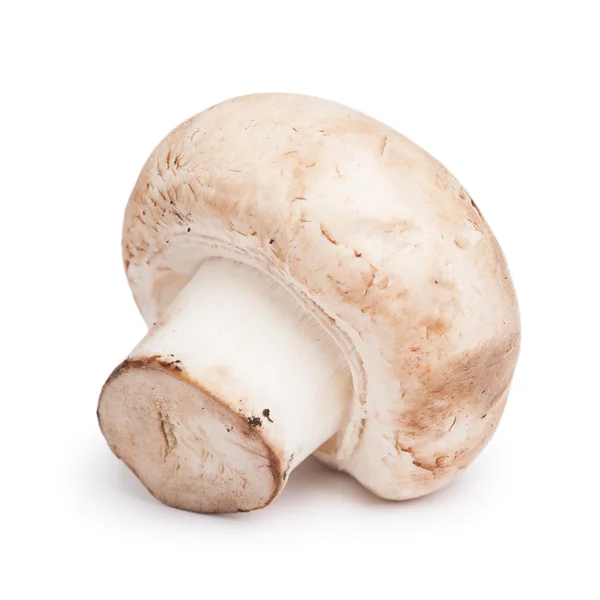 Fungo champignon fresco — Foto Stock