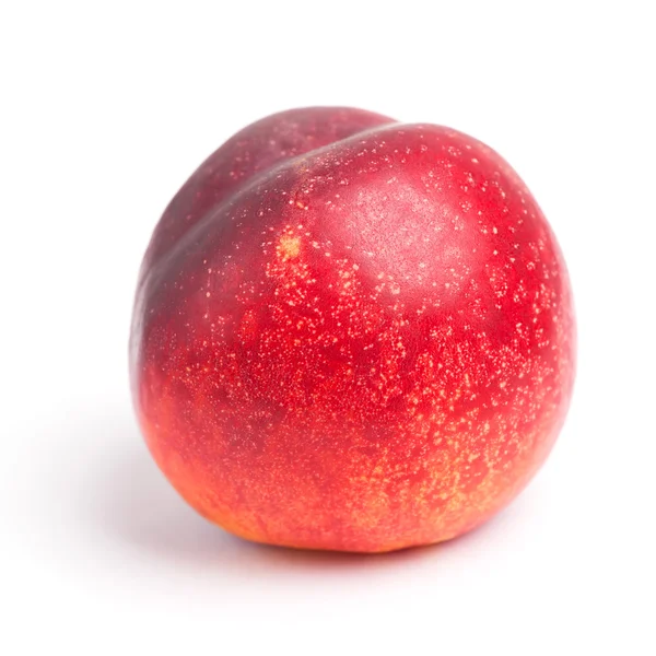 One fresh nectarine — Stock Photo, Image