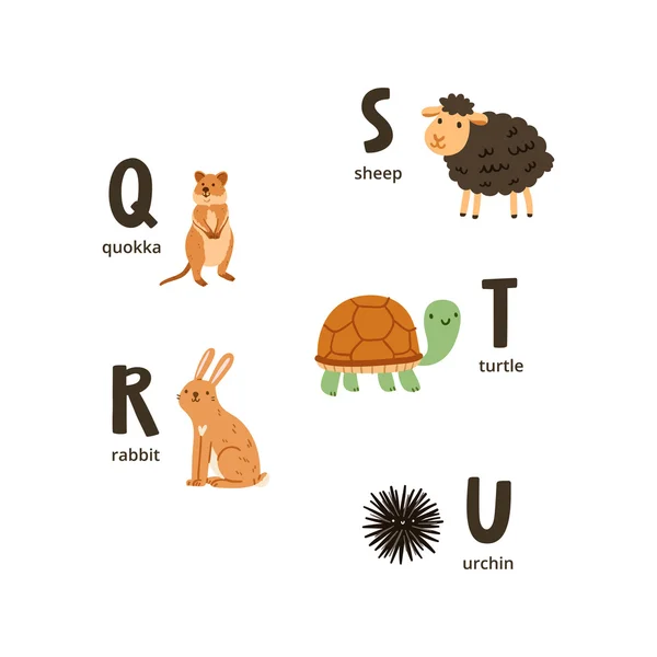 あなたの動物のアルファベット文字 q — ストックベクタ