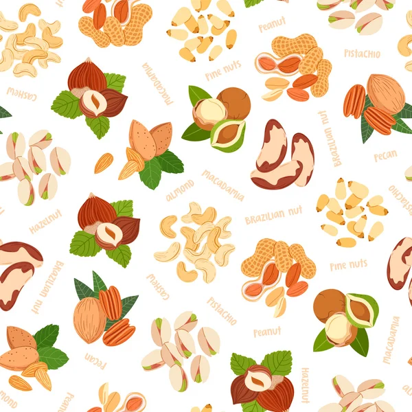 Various nuts illustrations pattern — Stock Vector