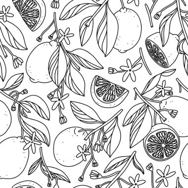 Çizilmiş greyfurtlar, yaz vektörü pürüzsüz desen, siyah beyaz arkaplan