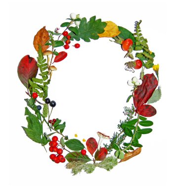 sonbahar çerçeve çiçek