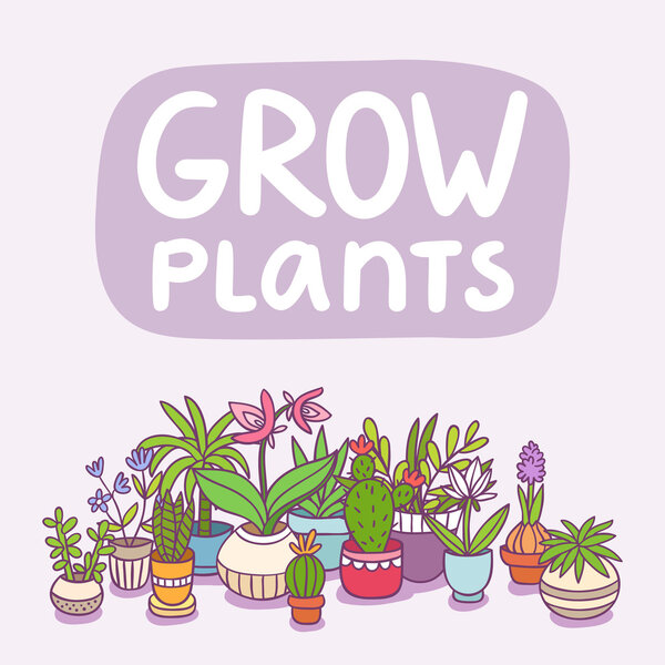 вырасти растения
