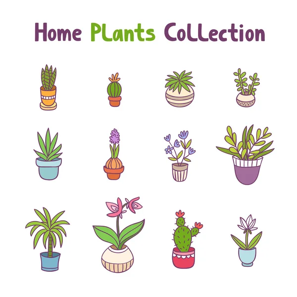 Colección de plantas caseras — Vector de stock