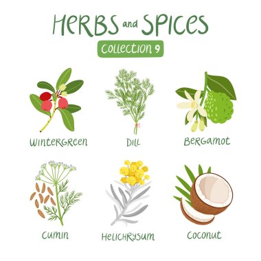 Herbs and spices collection 9 clipart