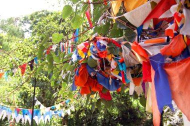 Budist Tapınağı bayrakları