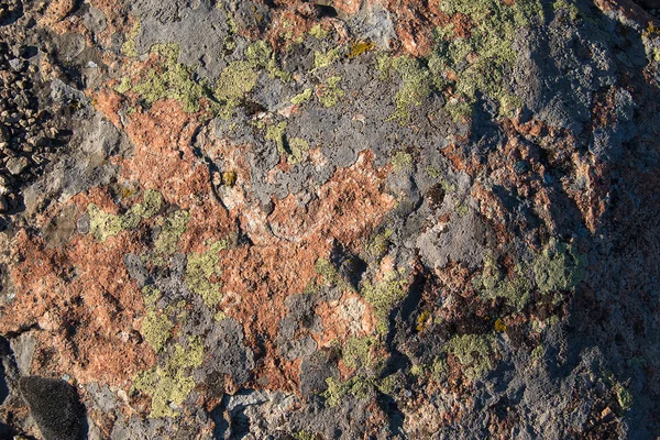 Red stone, covered with lichen — Stock Photo, Image