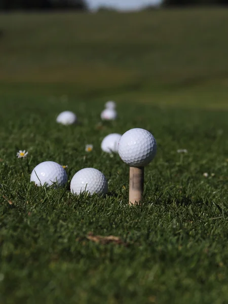 Deportes de golf —  Fotos de Stock