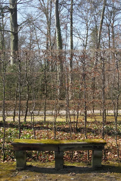 Park bench — Stock Photo, Image