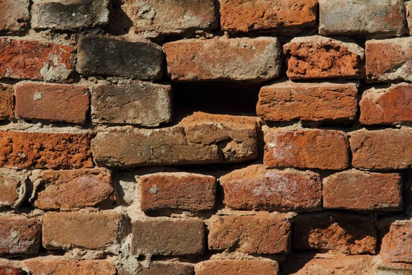 Muro de ladrillo —  Fotos de Stock