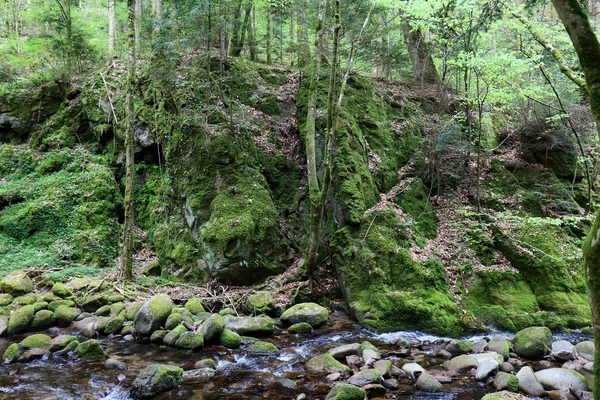 Stromende wateren Stockfoto