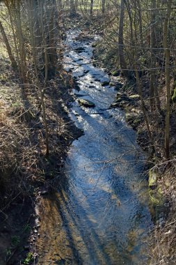 Einem Wald 'da kleiner Bach