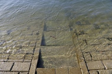 eine Rheinufertreppe die ions Wasser fuehrt
