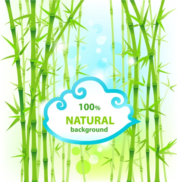 Fond naturel en bambou — Image vectorielle