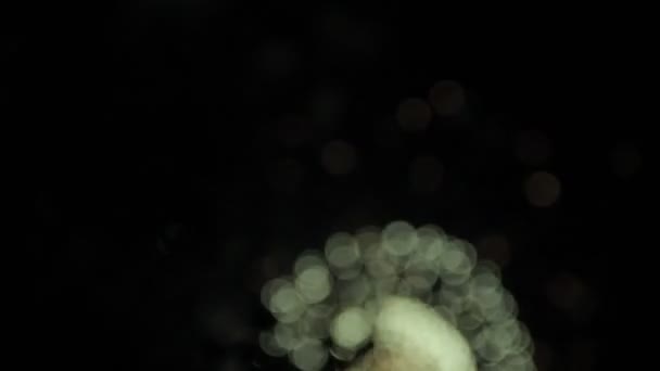 ボケ味を持つ花火。白い大きなボール — ストック動画